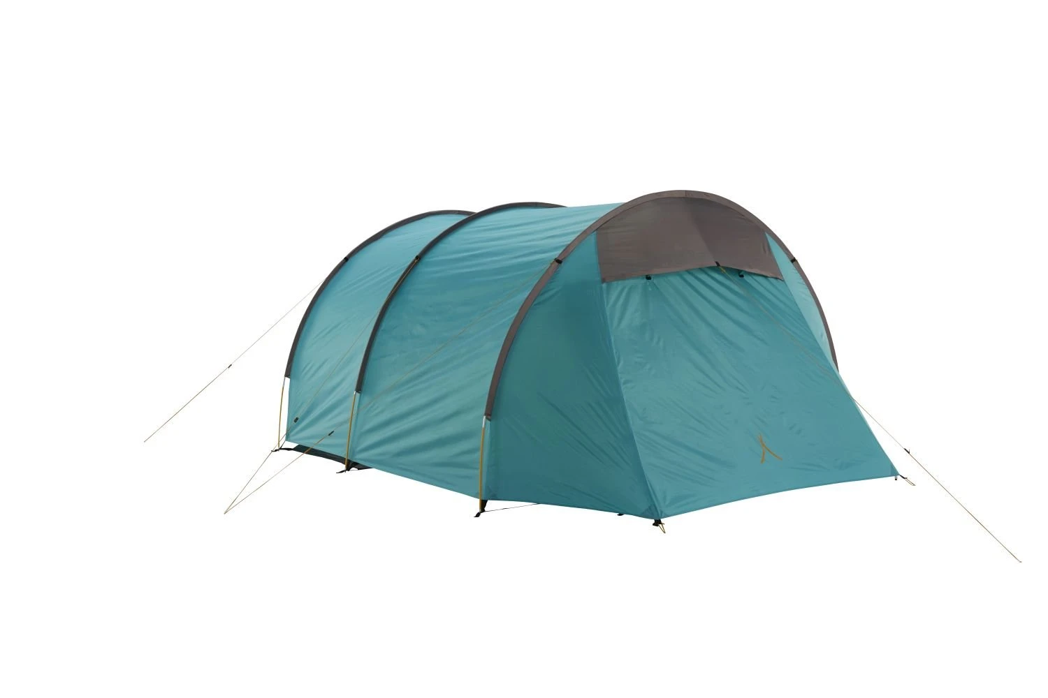 Grand Canyon Robson 4 Zelt (blue-grass) – Bild 2