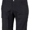 Lundhags Authentic II Ms Outdoorshorts (black)